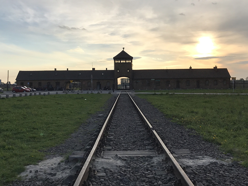 The Meaning of VEDay A Historian's Personal Journey Through Auschwitz